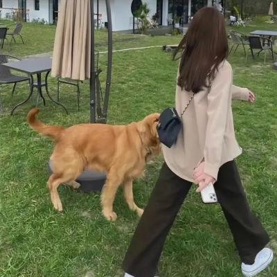 为你钟情粤语