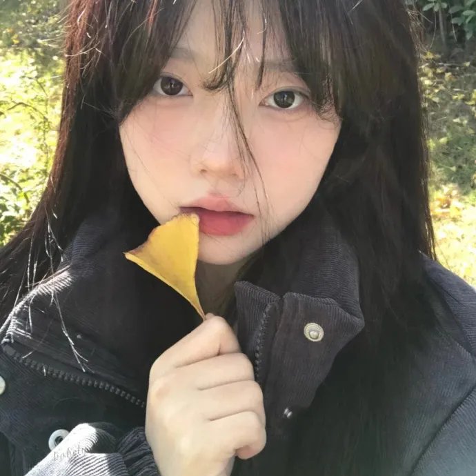 拜访森林